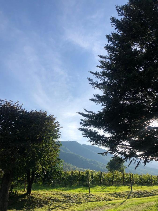 Masia Quelet Hébergement de vacances La Vall de Bianya